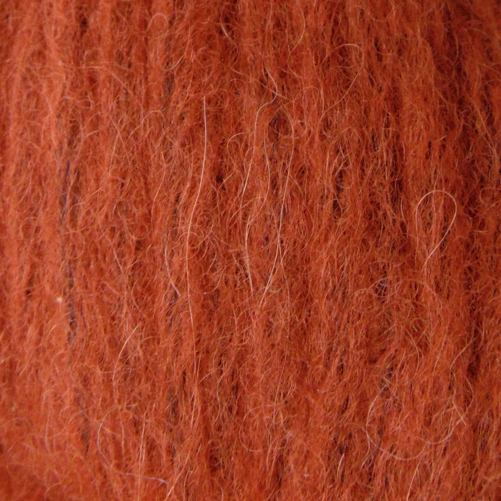 Estelle | Alpaca Drift - Image 12