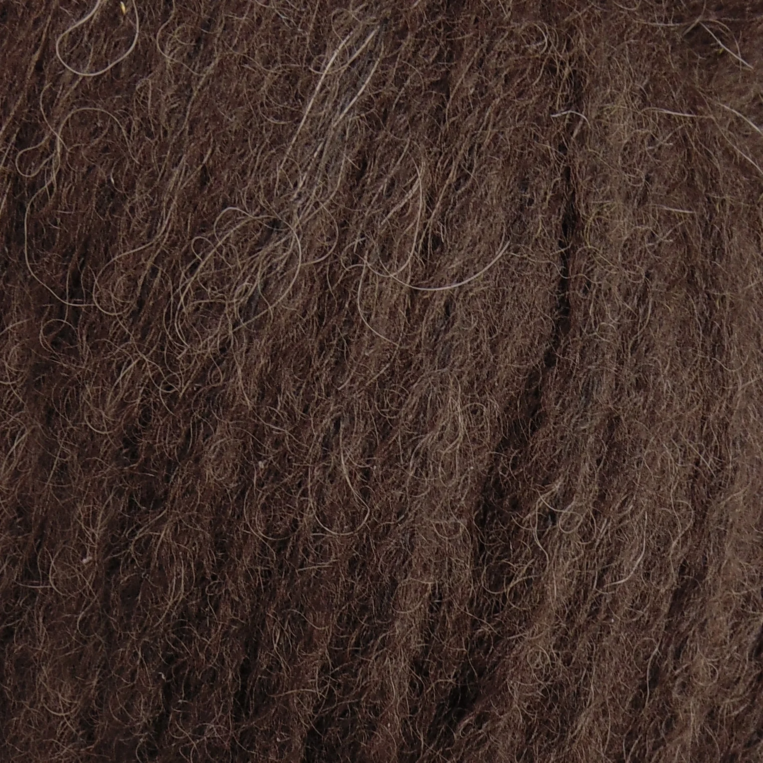 Estelle | Alpaca Drift - Image 15