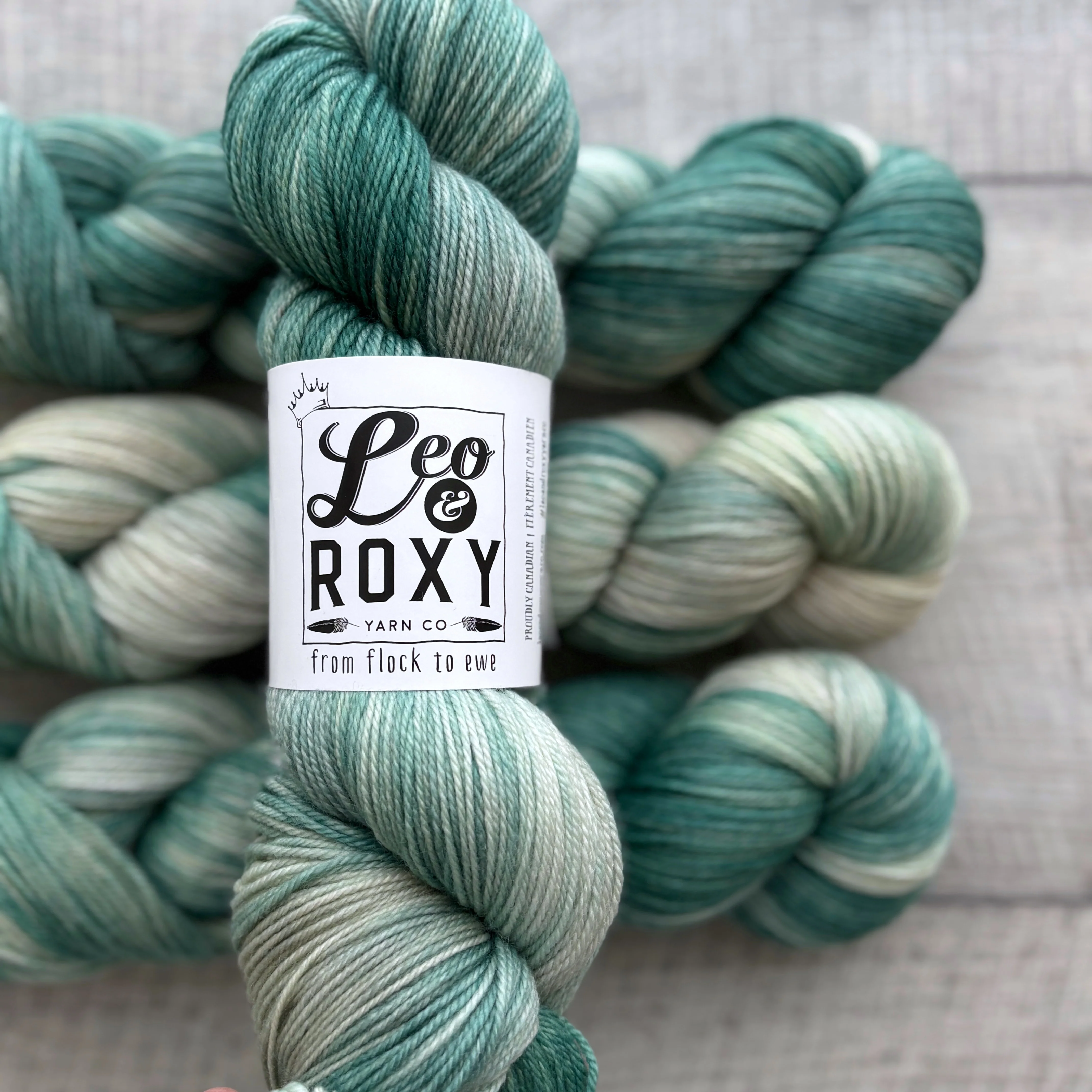 Leo and Roxy | 80/20 sock | Eggshell collection - Image 11
