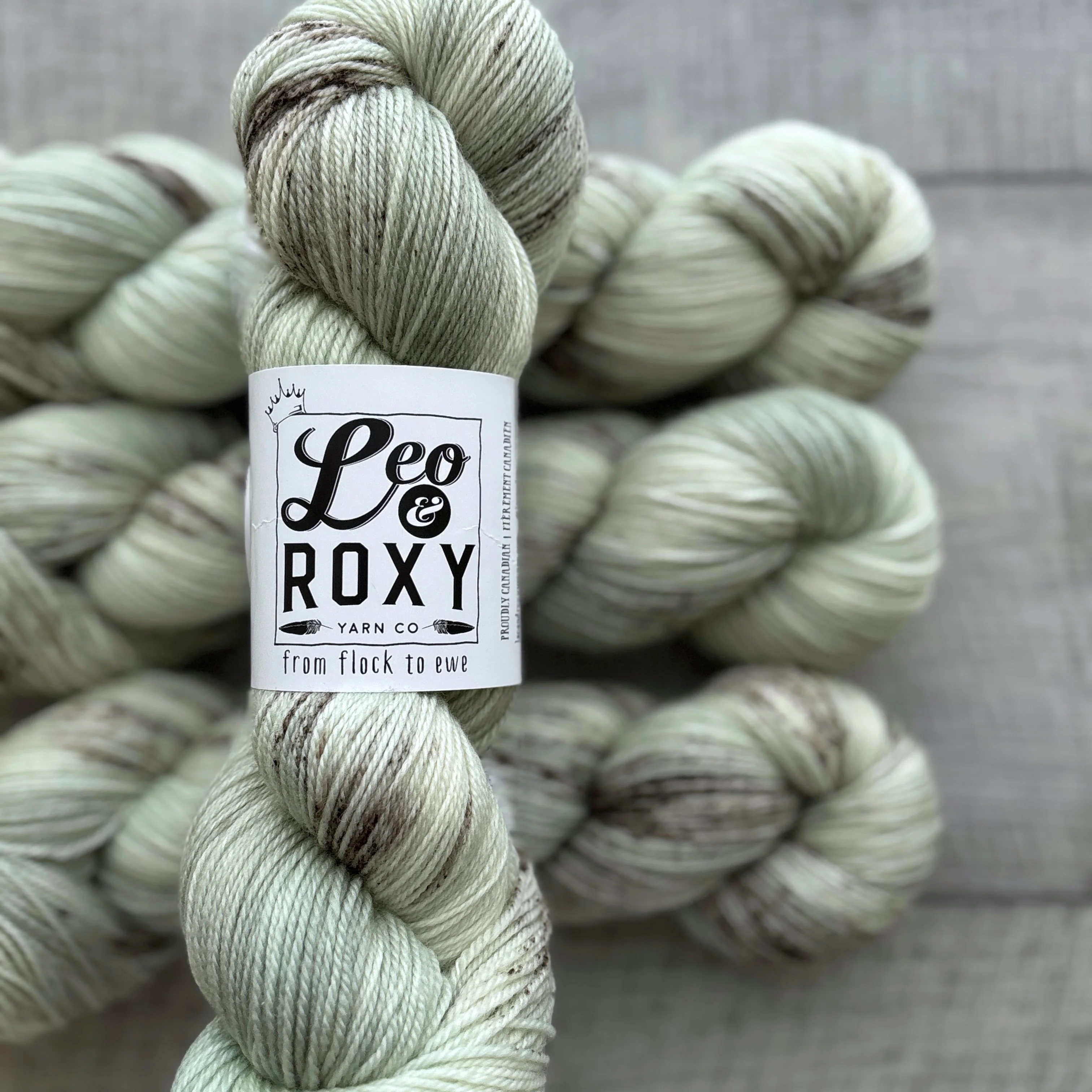 Leo and Roxy | 80/20 sock | Eggshell collection - Image 6